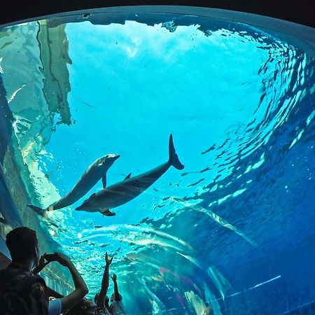 Casa Marina Nel Cuore Di Genova Bagian luar foto